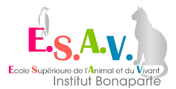E.S.A.V. - Ecole Supérieure de l'Animal et du Vivant