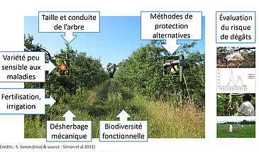 L'ingénierie agroécologique