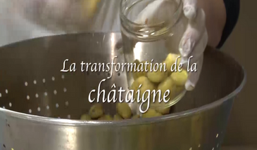 La transformation de la châtaigne