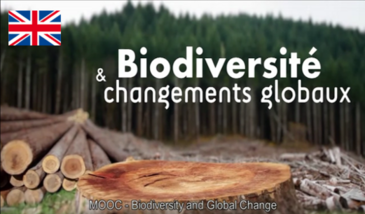 Biodiversity and Global Change