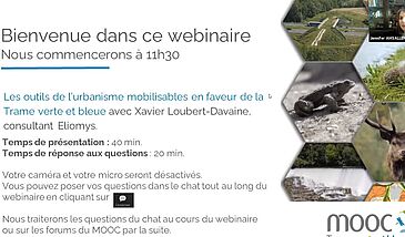 Webinaire du MOOC TVB Les outils de l’urbanisme mobilisables en faveur de la Trame verte et bleue avec Xavier Loubert-Davaine