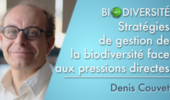 Stratégies de gestion de la biodiversité face aux pressions directes