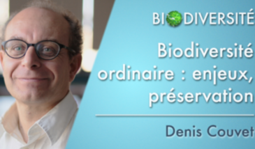 Biodiversité ordinaire : enjeux, préservation