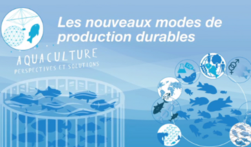 Les nouveaux modes de production durable