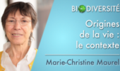 Origines de la vie : le contexte