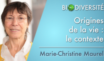 Origines de la vie : le contexte