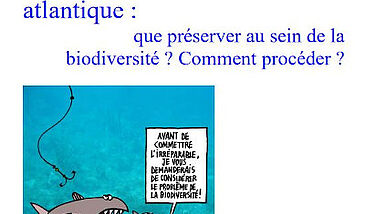 La protection de la nature et des paysages sur le littoral atlantique