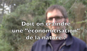 Doit-on craindre une mise en économie/« économicisation » de la nature ?