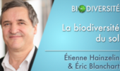 La biodiversité du sol