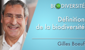 Définition de la biodiversité