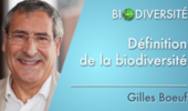 Définition de la biodiversité