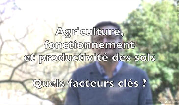 Fonctionnement et productivité des sols – Quels facteurs clés ?