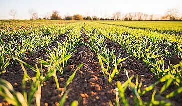 Sols, agriculture, agrosystèmes
