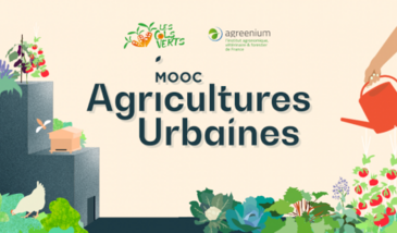 Agricultures Urbaines : pour monter son projet professionnel en Agriculture Urbaine