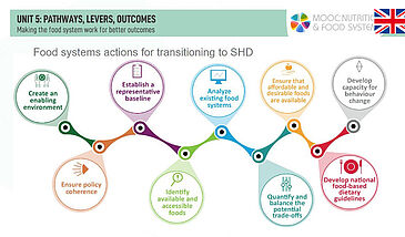 Multidimensional lens / Pathways, levers, outcomes