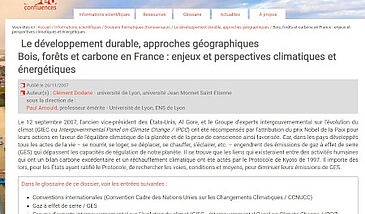 Bois, forêts et carbone en France : enjeux et perspectives climatiques et énergétiques