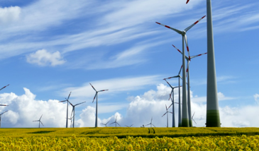 Energies Renouvelables : l'énergie éolienne (8 vidéos)