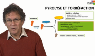 Mécanismes fondamentaux en thermochimie de la biomasse