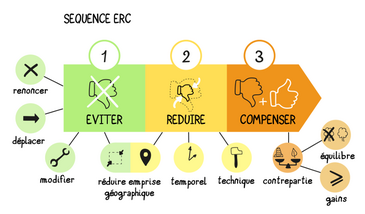 La typologie des mesures de la séquence Eviter Réduire et Compenser