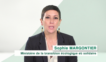 Transition écologique : quels emplois ?