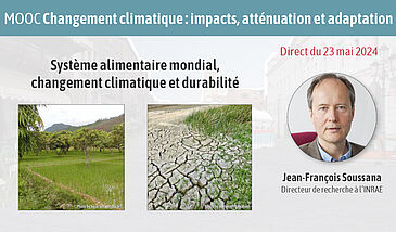 Système alimentaire mondial, changement climatique et durabilité