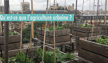 Qu'est-ce que l'agriculture urbaine  ?