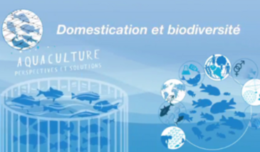 La valorisation de la biodiversité par la domestication