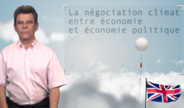 Climate negotiations between economics and political economy