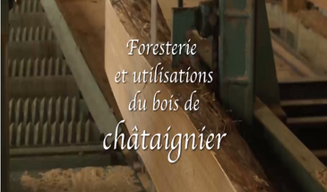 Foresterie et utilisations du bois de châtaignier