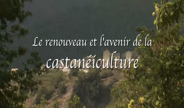 Le renouveau et l'avenir de la castanéiculture