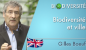 Biodiversity and the city - Clip