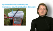 Systèmes bio-électrochimiques microbiens pour la production d'énergie