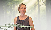 Les rythmes saisonniers des arbres