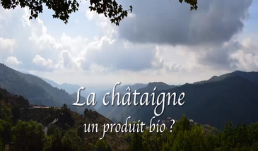 La châtaigne : un produit bio ?