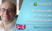 Biodiversity and ecosystem services