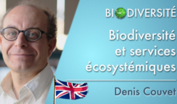 Biodiversity and ecosystem services