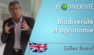 Biodiversity and agronomy - Clip