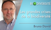 Les grandes crises de la biodiversité