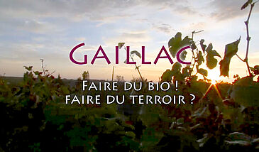 Gaillac : faire du bio ! Faire du terroir ?