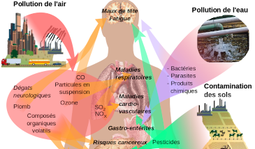 Agent de santé environnementale