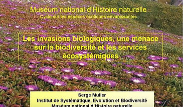 Les invasions biologiques, une menace sur la biodiversité et les services écosystémiques