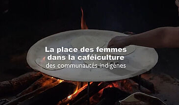 La place des femmes dans la caféiculture des communautés indigènes