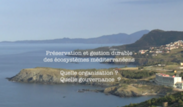 Série EcoMedit n°33 : Quelle organisation, quelle gouvernance pour la préservation des (socio)écosystèmes méditerranéens ?