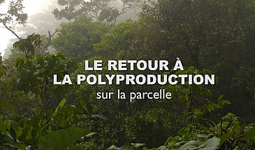 Le retour à la poly-production sur la parcelle