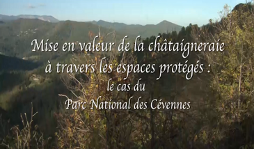 Mise en valeur de la châtaigneraie à travers les espaces protégés : le cas du Parc National des Cévennes