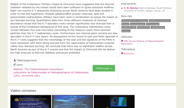 Assessing the Evidence for Extensive Wildfires at the Cretaceous-Tertiary Boundary