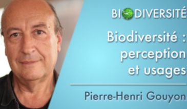 Biodiversité : perception et usages