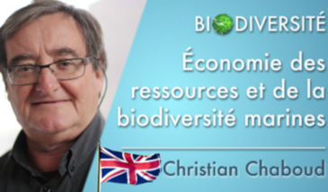 The economics of marine resources and biodiversity