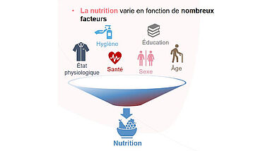 Comment en est-on arrivé là ? / Le système alimentaire