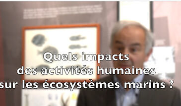 Quels impacts des activités humaines sur les écosystèmes marins ?